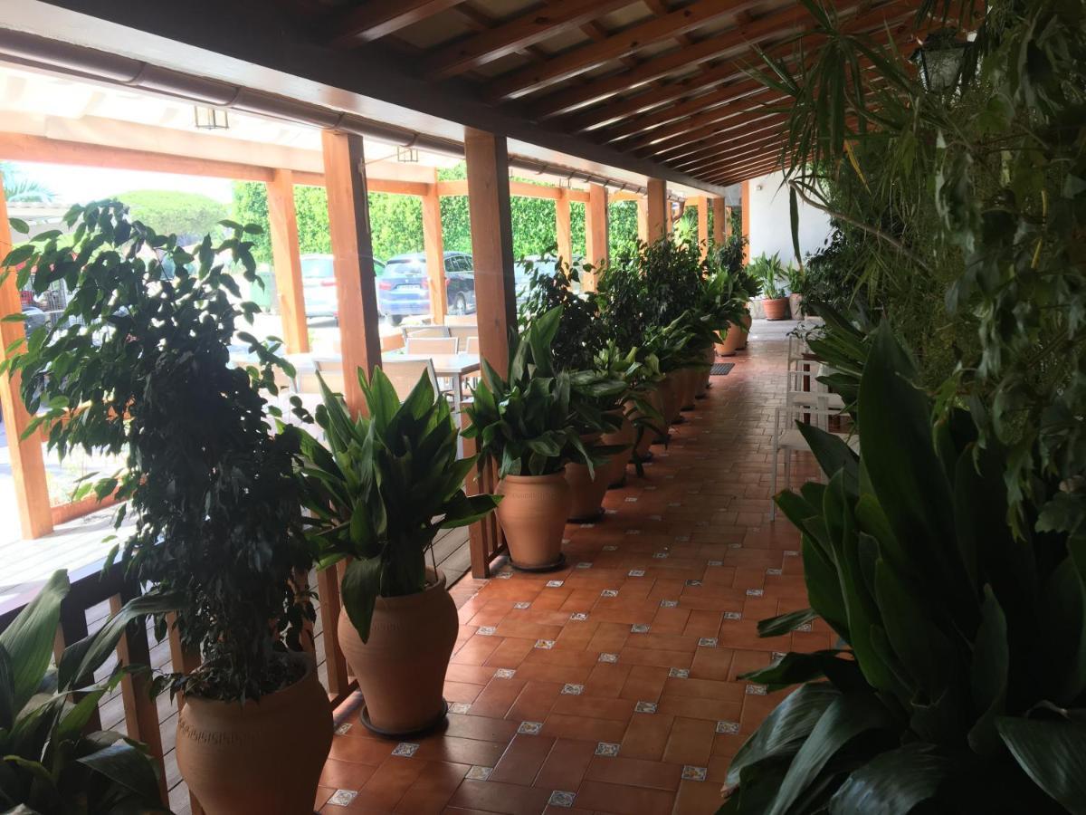 Hotel Antonio Conil كونيل ذي لا فرونتيرا المظهر الخارجي الصورة