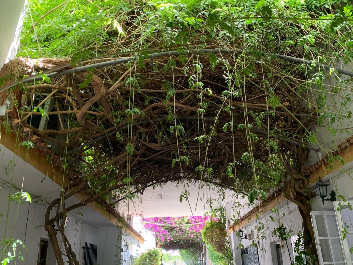 Hotel Antonio Conil كونيل ذي لا فرونتيرا المظهر الخارجي الصورة